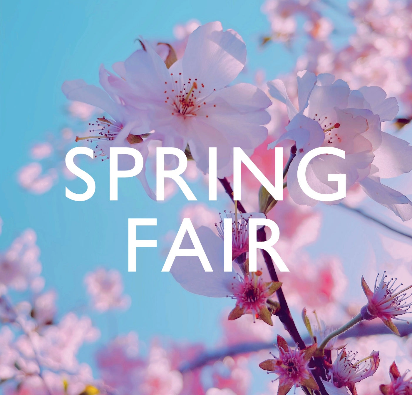 Spring Fair '25