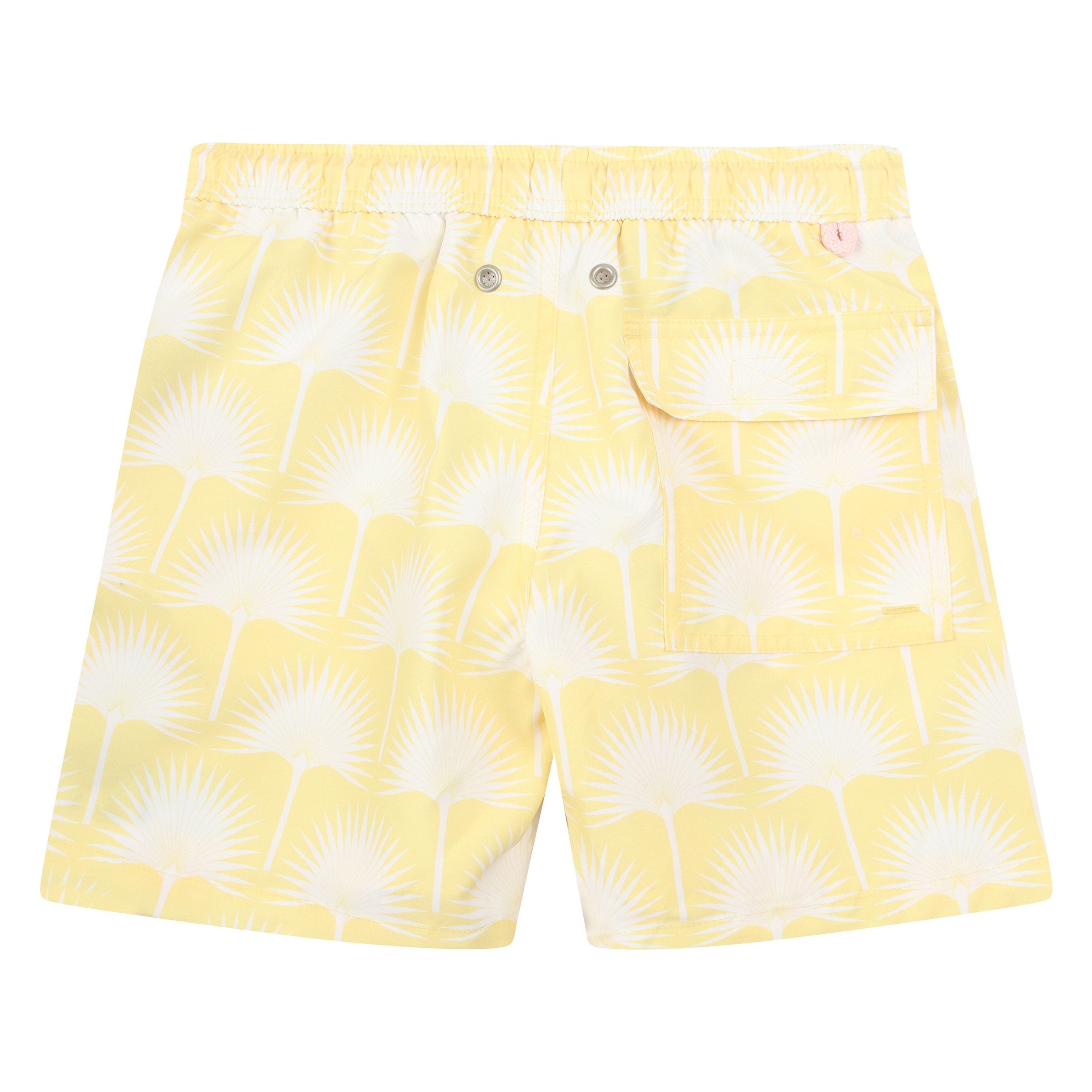 Boys swim trunks : FAN PALM - YELLOW, back