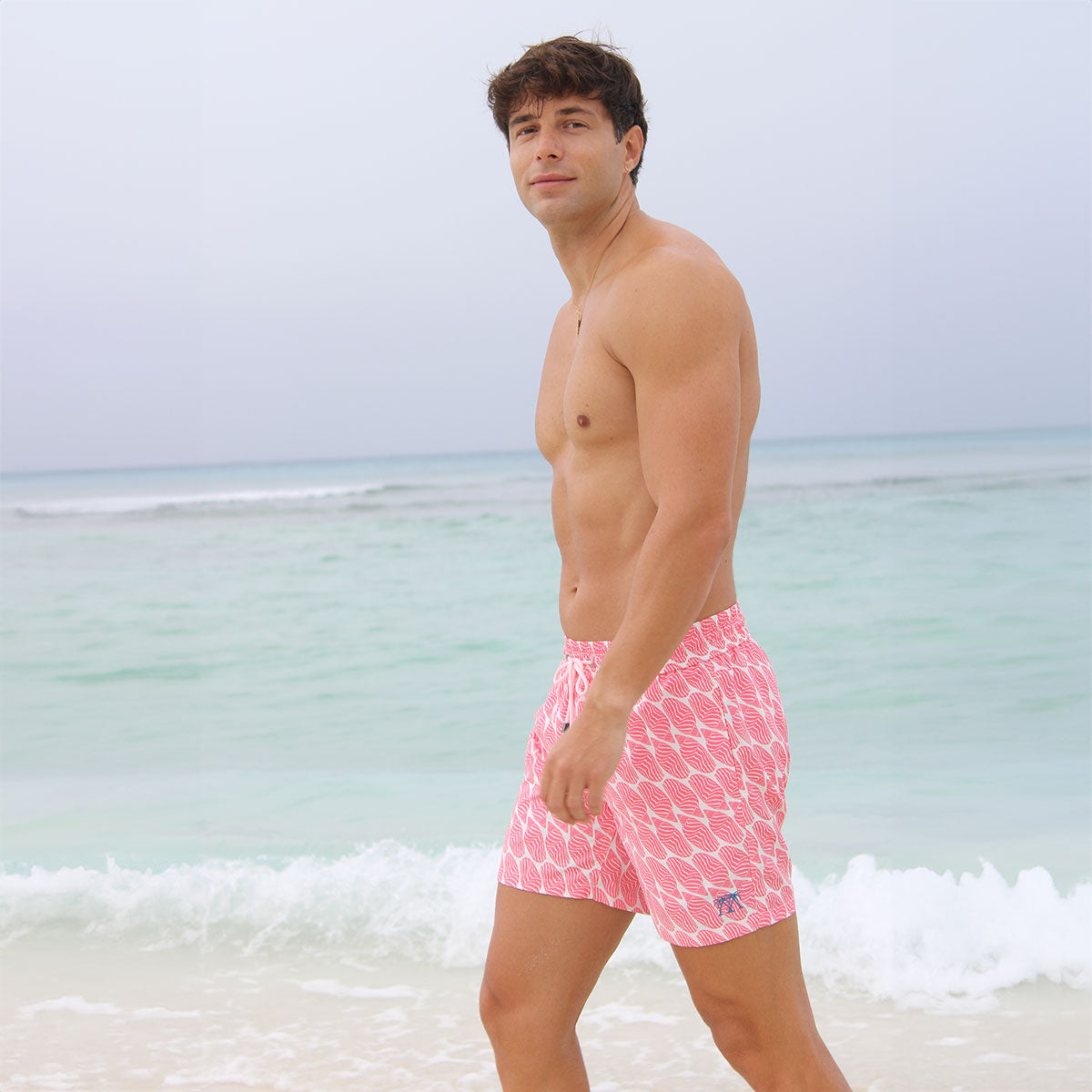 Holiday swim shorts online