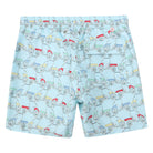 Mens swim trunks : MUSTIQUE MULE - MULTI back