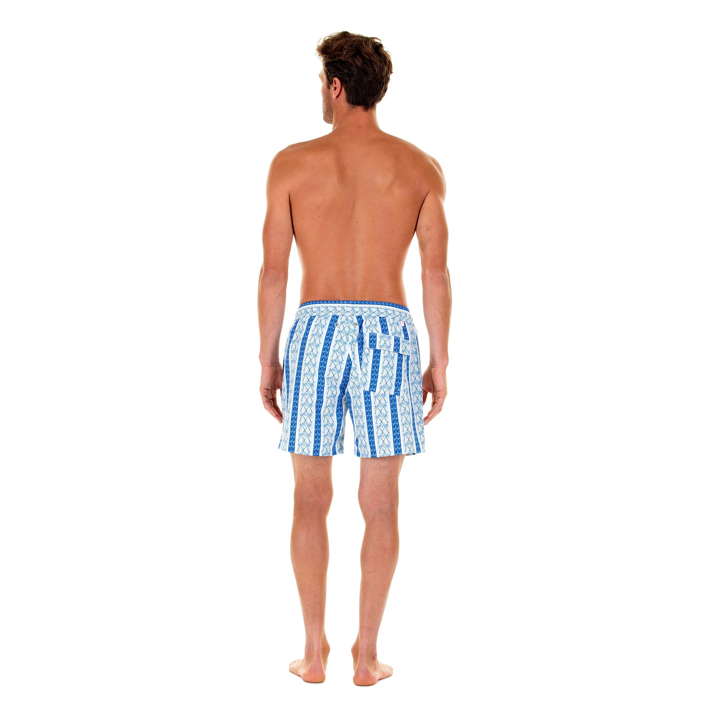 Mens swim trunks : PALM STRIPE - NAVY, back